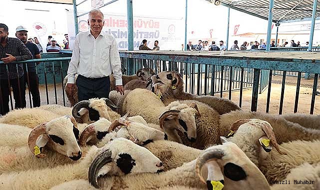 Büyükşehir’den küçükbaş hayvancılığa büyük destek