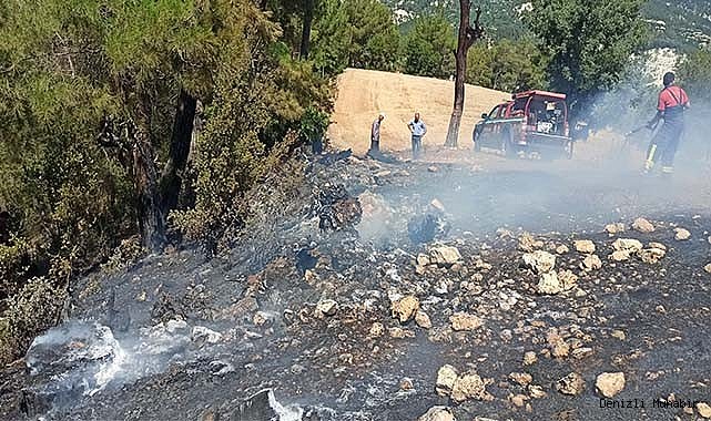 Çameli'nde çıkan orman yangını büyümeden söndürüldü
