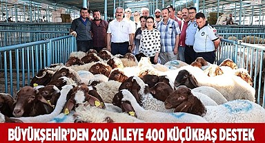 Damızlık koç ve teke destek projesi tamamlandı