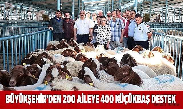 Damızlık koç ve teke destek projesi tamamlandı