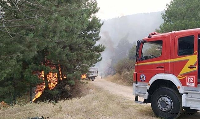 Denizli’de orman yangını büyümeden söndürüldü