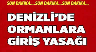 Denizli'de ormanlara giriş yasağı