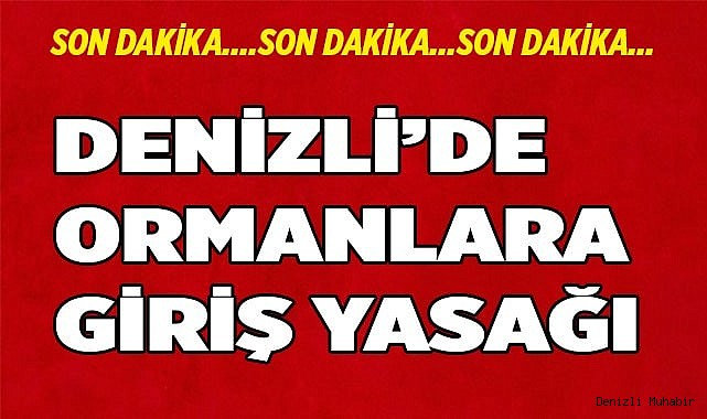 Denizli'de ormanlara giriş yasağı