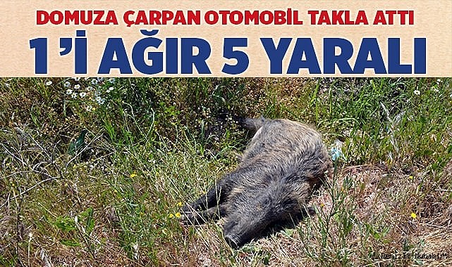 Domuza çarpan otomobil takla attı; 1’i ağır 5 yaralı
