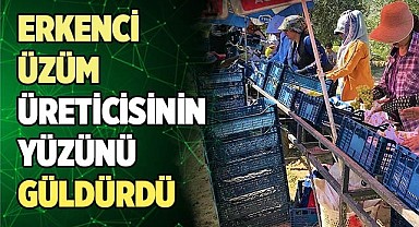 Erkenci üzüm üreticisinin yüzünü güldürdü