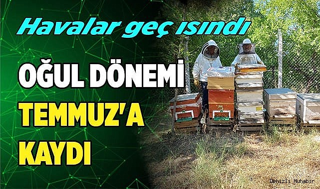 Havalar geç ısınınca arıların oğul dönemi Temmuz'a kaydı