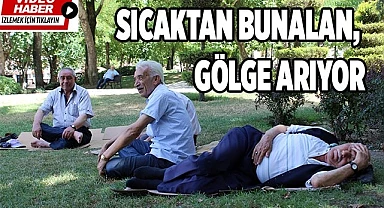 Kavurucu sıcaktan korunmak için gölgelere sığındılar
