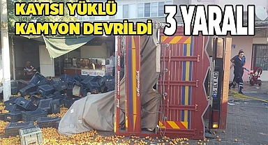 Kayısı yüklü kamyon devrildi: 3 yaralı
