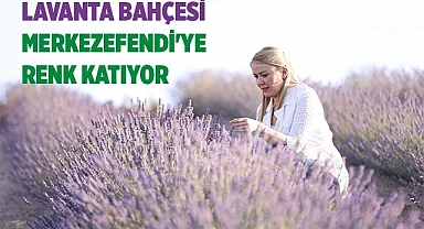 LAVANTA BAHÇESİ MERKEZEFENDİ'YE RENK KATIYOR