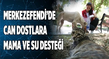MERKEZEFENDİ’DE CAN DOSTLARA MAMA VE SU DESTEĞİ
