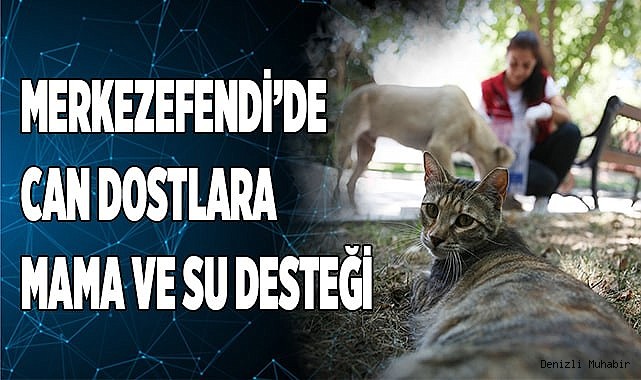 MERKEZEFENDİ’DE CAN DOSTLARA MAMA VE SU DESTEĞİ