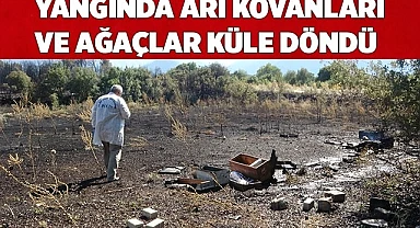 Örtü yangınında arı kovanları ve ağaçlar küle döndü