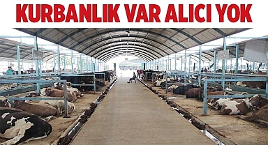 Pazarda kurbanlık var alıcı yok