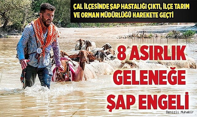 ÇAL'DA ŞAP HASTALIĞI ÇIKTI