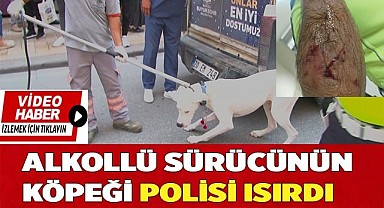 Alkollü sürücünün köpeği polisi ısırdı