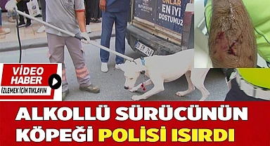 Alkollü sürücünün köpeği polisi ısırdı
