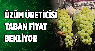 Çiftçiler üzüm taban fiyatının açıklanmasını dört gözle bekliyor