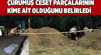 Çürümüş ceset parçalarının kime ait olduğunu belirledi