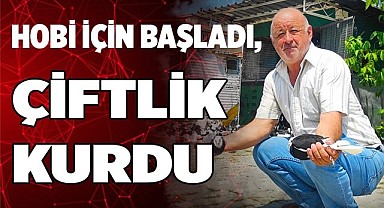 Hobi için başladı, güvercin çiftliği kurdu
