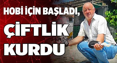 Hobi için başladı, güvercin çiftliği kurdu