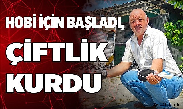 Hobi için başladı, güvercin çiftliği kurdu