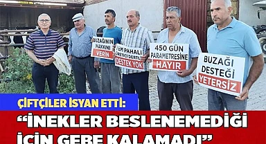 “İnekler beslenemediği için gebe kalamadı”