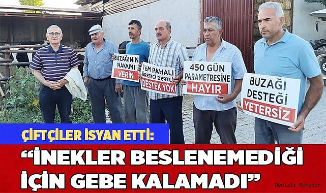 “İnekler beslenemediği için gebe kalamadı”