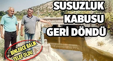 Kuraklığın ardından susuzluk kabusu geri döndü