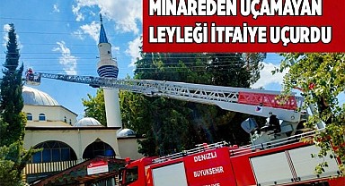 Minareden uçamayan leyleği itfaiye uçurdu