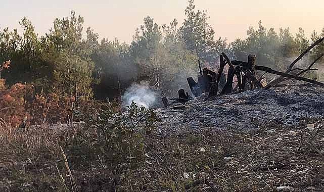 Ormanlık alandaki örtü yangını büyümeden söndürüldü