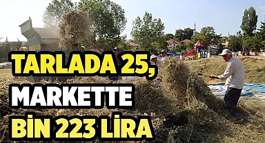 Tarlada 25, markette bin 223 lira