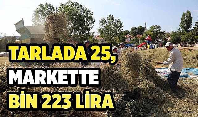 Tarlada 25, markette bin 223 lira