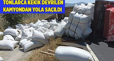 Tonlarca kekik devrilen kamyondan yola saçıldı