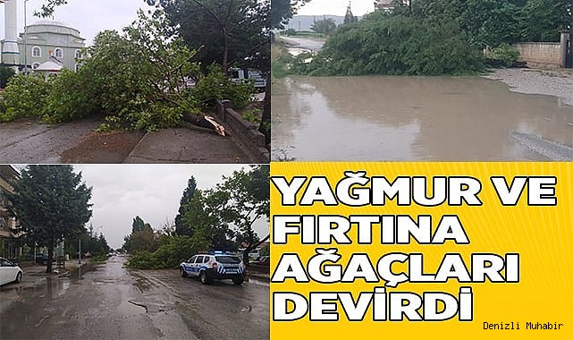 Yağmur ve fırtına ağaçları devirdi