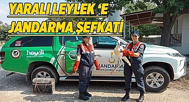 Yaralı leylek tedavi altına alındı