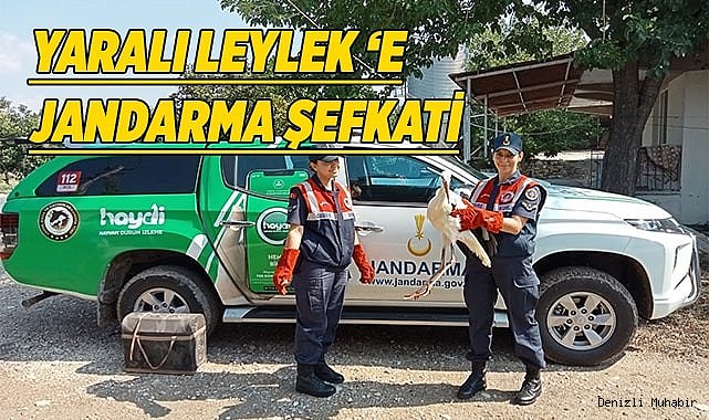 Yaralı leylek tedavi altına alındı
