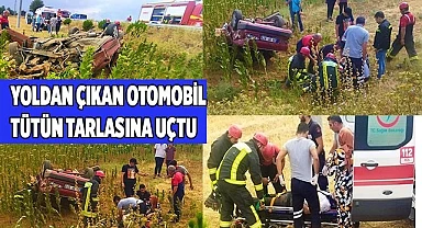 Yoldan çıkan otomobil tütün tarlasına uçtu