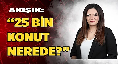 Akışık: Bu Projenin Açılımı Yüzyılın Vurgun Projesidir