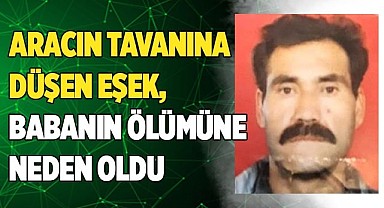 Aracın tavanına düşen eşek, babanın ölümüne neden oldu