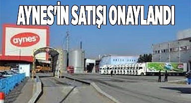 Aynes'in satışı onaylandı