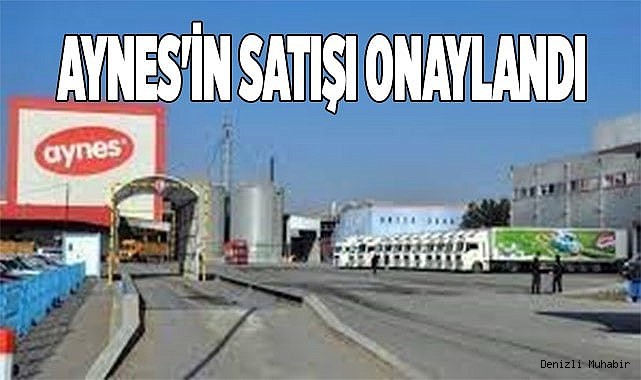 Aynes'in satışı onaylandı