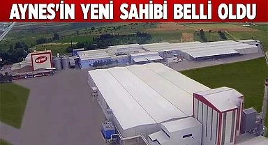 Aynes'in  yeni  sahibi  belli  oldu