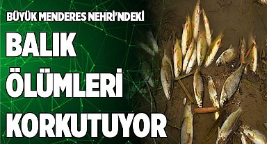 Büyük Menderes Nehri'ndeki balık ölümleri korkutuyor