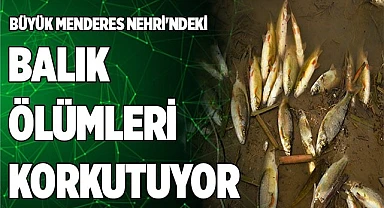Büyük Menderes Nehri'ndeki balık ölümleri korkutuyor
