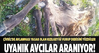 Çivril’de avlanması yasak olan kızılgeyiği vurup derisini yüzdüler