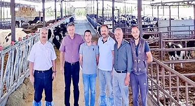 Denizli’de hastalıktan ari işletmeler denetleniyor