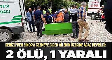 Denizli’den Sinop’a gezmeye giden ailenin üzerine ağaç devrildi: 2 ölü, 1 yaralı