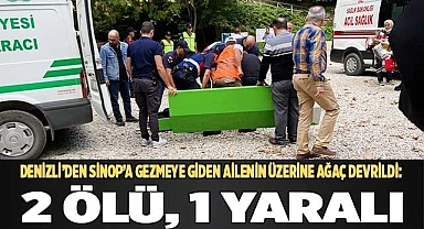 Denizli’den Sinop’a gezmeye giden ailenin üzerine ağaç devrildi: 2 ölü, 1 yaralı