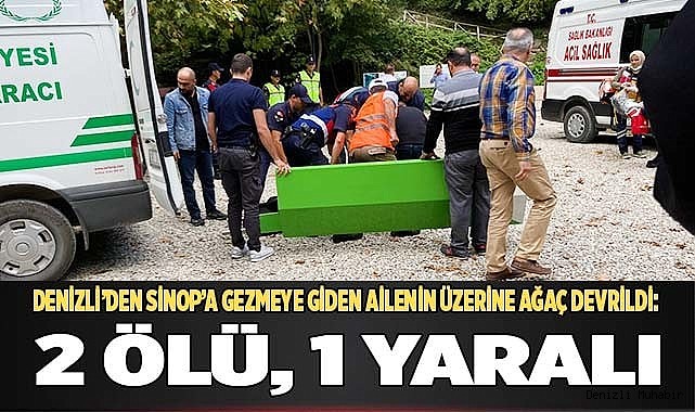 Denizli’den Sinop’a gezmeye giden ailenin üzerine ağaç devrildi: 2 ölü, 1 yaralı