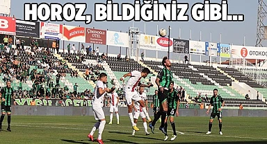 Denizlispor: 2 - Gençlerbirliği: 2